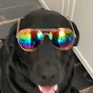 Meet your Posher, Kris